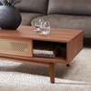 image:imageSAFAVIEH Home Collection Ceu BlackGold 2Door Coffee TableWalnutGold