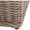 image:imageSAFAVIEH Furniture  Caius Rattan Trunk  Grey  Rattan  Coastal Woven Design  Ideal for Living Room Entryway Bedroom 63 W x 181 D x 187 H  Fully Assembled SEA7017A