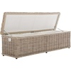 image:imageSAFAVIEH Furniture  Caius Rattan Trunk  Grey  Rattan  Coastal Woven Design  Ideal for Living Room Entryway Bedroom 63 W x 181 D x 187 H  Fully Assembled SEA7017A