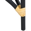 image:imageSAFAVIEH Home Collection Meara Tropical Coastal Black Rattan Accent Chair with Cushion Fully Assembled