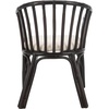 image:imageSafavieh SEA4017A Home Collection Gino Arm Chair Black