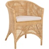 image:imageSAFAVIEH Home Collection  Taina Coastal Natural Rattan Accent Chair with Cushion Barrel Back Design Fully Assembled ACH6534ANaturalWhite