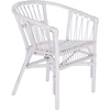 image:imageSafavieh Home Adriana Coastal Black Rattan Set of 2 Accent Chair ACH6505ASET2White