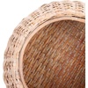 image:imageSafavieh Home Klarysa Natural White Wash Wood and Rattan Storage Coffee Table