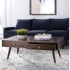 image:imageSafavieh Home Levinson MidCentury Modern Brown and Gold Cap 2drawer Coffee TableBrown