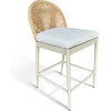 image:imageSAFAVIEH Couture  Outdoor Rosalind 25Inch Counter Stool  Light Grey Cushion amp Beige Aluminum Frame  Woven Back Design Fully Assembled  Ideal for Patio Deck Backyard CPT4019ALight GreyBeige