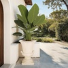image:imageSAFAVIEH Outdoor  Atlas Brown Magnesium Oxide Urn Planter Pot  WeatherResistant Garden Planter with Drainage Hole for Patio Porch amp Entryway 189 W x 189 D x 248 H PAT5047BOff White