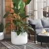 image:imageSAFAVIEH Outdoor  Lucca Large Planter Pot  Terracotta Cement Ficonstone with Drainage Hole  Frost Resistant Garden Planter for Patio Deck Backyard 228 W x 228 D x 18 H PAT1533DWhite