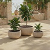 image:imageSAFAVIEH Outdoor Patio Furniture Collection  Anita Beige Planter Pot Set of 3 Fiber Clay Decorative Planters Ribbed Bowl Design Modern Indoor amp Outdoor Accent PAT4602BSET3Beige