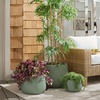 image:imageSAFAVIEH Outdoor Patio Furniture Collection  Sara Black Planter Pot Set of 3 Fiber Clay Decorative Planters Ribbed Rounded Design Indoor amp Outdoor Accent PAT4601ASET3Green