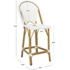 image:imageSafavieh PAT4019A Collection Gresley Navy and White IndoorOutdoor Stacking French Bistro Counter StoolWhite