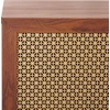 image:imageSAFAVIEH Piran TV Stand for up to 60 Flatscreen  Walnut amp Gold 2 Doors with Interior Storage 3 Drawers Sideboard Entertainment Media Console MED9631AWalnutGold