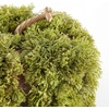 image:imageSAFAVIEH Home Collection 10inch Decorative Artificial Moss Pumpkin Fully AssembledGreen