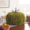 image:imageSAFAVIEH Home Collection 15inch Decorative Artificial Moss Pumpkin Fully AssembledGreen