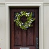 image:imageSAFAVIEH Home Collection Faux Artificial 24inch Boxwood amp Berry Decorative Wreath