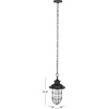 image:imageSAFAVIEH Lighting Collection Adelle Black Outdoor Pendant Hanging Light Fixture LED Bulb Included