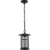 image:imageSAFAVIEH Lighting Collection Osprey Black Extendable Outdoor Pendant