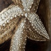 image:imageSafavieh Art Collection Sea Shell Paintings