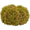 image:imageSAFAVIEH Home Collection 10inch Decorative Artificial Moss Pumpkin Fully AssembledGreen