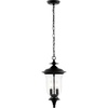 image:imageSAFAVIEH Lighting Collection Dowell Black 2Light Extendable Outdoor Pendant