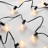 image:imageSAFAVIEH Lighting Collection Jenica Black 25Foot LED Outdoor String Lights