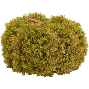 image:imageSAFAVIEH Home Collection 10inch Decorative Artificial Moss Pumpkin Fully AssembledGreen