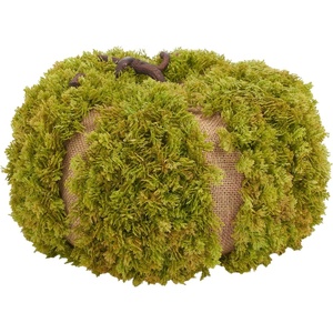 image:imageSAFAVIEH Home Collection 15inch Decorative Artificial Moss Pumpkin Fully AssembledGreen