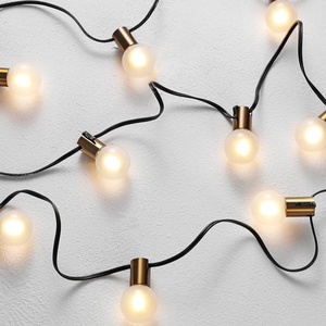 image:imageSAFAVIEH Lighting Collection Farrynn BrassBlack 10Foot LED Outdoor String Lights