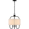 image:imageSAFAVIEH Lighting Collection Jemmi 3Light Brass LED Adjustable PendantBlack