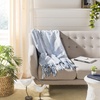 image:imageSAFAVIEH Brenton Fringe Throw Blanket BlueWhite
