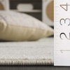 image:imageSAFAVIEH Area Rug 8x10  Adirondack Collection  Large  Ivory amp Silver Modern Ombre Design Non Shedding amp Easy to Clean Ideal for Living Room Bedroom Office Dining Space ADR113BSageIvory