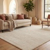 image:imageSAFAVIEH Area Rug 8x10  Adirondack Collection  Large  Ivory amp Silver Modern Ombre Design Non Shedding amp Easy to Clean Ideal for Living Room Bedroom Office Dining Space ADR113BChampagneCream
