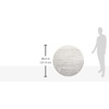 image:imageSAFAVIEH Area Rug 8x10  Adirondack Collection  Large  Ivory amp Silver Modern Ombre Design Non Shedding amp Easy to Clean Ideal for Living Room Bedroom Office Dining Space ADR113BIvorySilver
