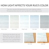 image:imageSAFAVIEH Area Rug 8x10  Adirondack Collection  Large  Ivory amp Silver Modern Ombre Design Non Shedding amp Easy to Clean Ideal for Living Room Bedroom Office Dining Space ADR113BAquaIvory