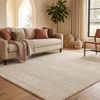 image:imageSAFAVIEH Area Rug 8x10  Adirondack Collection  Large  Ivory amp Silver Modern Ombre Design Non Shedding amp Easy to Clean Ideal for Living Room Bedroom Office Dining Space ADR113BChampagneCream