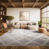image:imageSAFAVIEH Area Rug 8x10  Adirondack Collection  Large  Silver amp Ivory Modern Trellis Design NonShedding amp Easy Cleaning Ideal for Living Room Bedroom Office Dining Space ADR120BSilverIvory