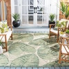 image:imageSAFAVIEH Courtyard Collection 8 x 11 Beige  Green CY7556 Indoor Outdoor Patio Backyard Mudroom Area RugBeigeGreen