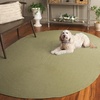 image:imageSAFAVIEH Washable Rug Outdoor Braided Collection  5 x 8 Oval Green Handmade amp Reversible NonShedding amp Easy to Clean Ideal for Patio Backyard Mudroom BRD315ASage