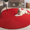 image:imageSAFAVIEH Washable Rug Outdoor Braided Collection  6 x 9 Rust amp Red Handmade amp Reversible NonShedding amp Easy to Clean Ideal for Patio Backyard Mudroom BRD317PRustRed