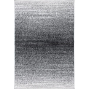 image:imageSAFAVIEH Area Rug 8x10  Adirondack Collection  Large  Grey amp Ivory Modern Ombre Design NonShedding amp Easy Cleaning Ideal for Living Room Bedroom Office Dining Space ADR142FGreyDark Grey