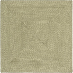 image:imageSAFAVIEH Washable Rug Outdoor Braided Collection  6 x 9 Rust amp Red Handmade amp Reversible NonShedding amp Easy to Clean Ideal for Patio Backyard Mudroom BRD317PSage