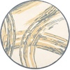 image:imageMartha Stewart x SAFAVIEH Area Rug Collection  23 x 10 Runner Cement Handmade Wool Ideal for Living Room Foyer Bedroom Hallway MSR4733ACement