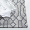 image:imageMartha Stewart x SAFAVIEH Area Rug Collection  4 x 6 Silver amp Grey Cotton Ideal for Living Room Foyer Bedroom Accent Space MSR421GSilverGrey