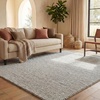 image:imageSAFAVIEH Area Rug 5x8  Natura Collection  Beige amp Ivory Handmade Wool Blend Textured Design Ideal for Living Room Bedroom Dining Space NAT425BSilver