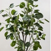 image:imageSAFAVIEH Faux Polyscias Fruticosa Potted Tree  37 Tall Artificial Decorative Plant for Home or Office Fully Assembled