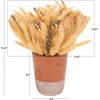 image:imageSAFAVIEH Home Collection 14inch Decorative Artificial Wheat Potted Arrangement Fully AssembledMulti Color