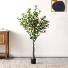 image:imageSAFAVIEH Home Collection Faux Artificial 60inch Decorative Potted Lemon Tree