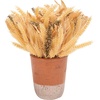 image:imageSAFAVIEH Home Collection 14inch Decorative Artificial Wheat Potted Arrangement Fully AssembledMulti Color
