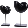 image:imageSAFAVIEH Home Collection Resi Modern Black Snail Shell Table Decor Set of 2 RDC1204ASET2