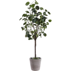 image:imageSAFAVIEH Faux Polyscias Fruticosa Potted Tree  37 Tall Artificial Decorative Plant for Home or Office Fully Assembled